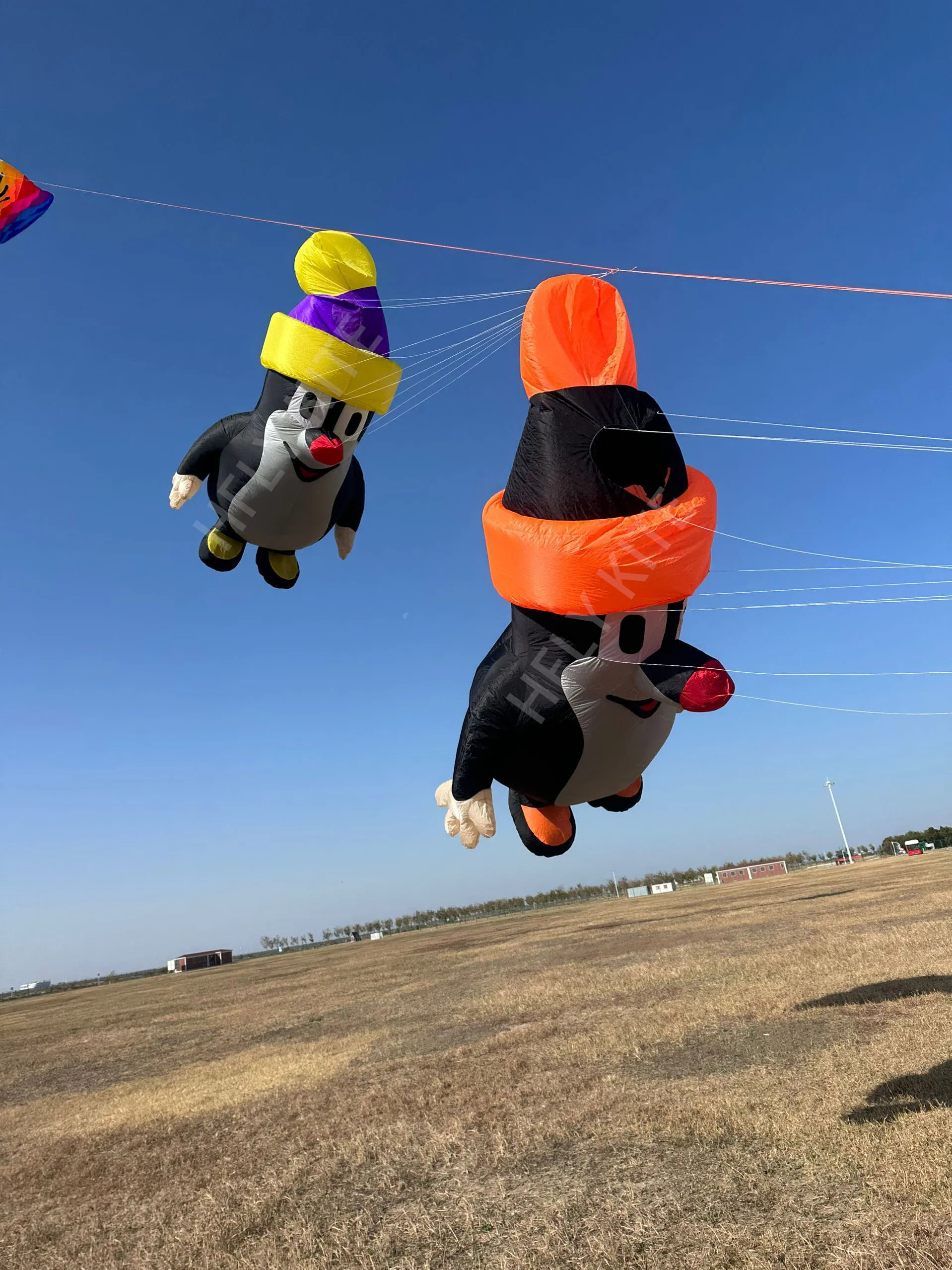 NEW ARRIVAL 3.5M linia mole pralnia miękka nadmuchiwana latawiec