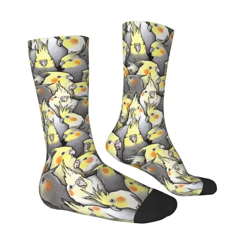 Funny Printed  Cockatiels Galore Socks for Men Women Stretch Summer Autumn Winter Parrot Birds Crew 