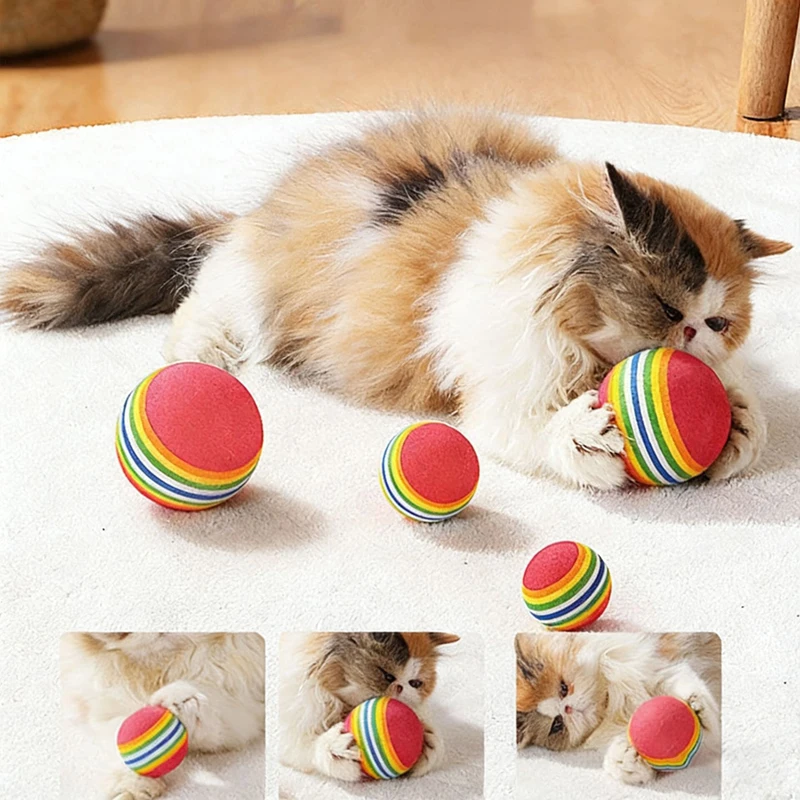 10PCS Rainbow Cat T…