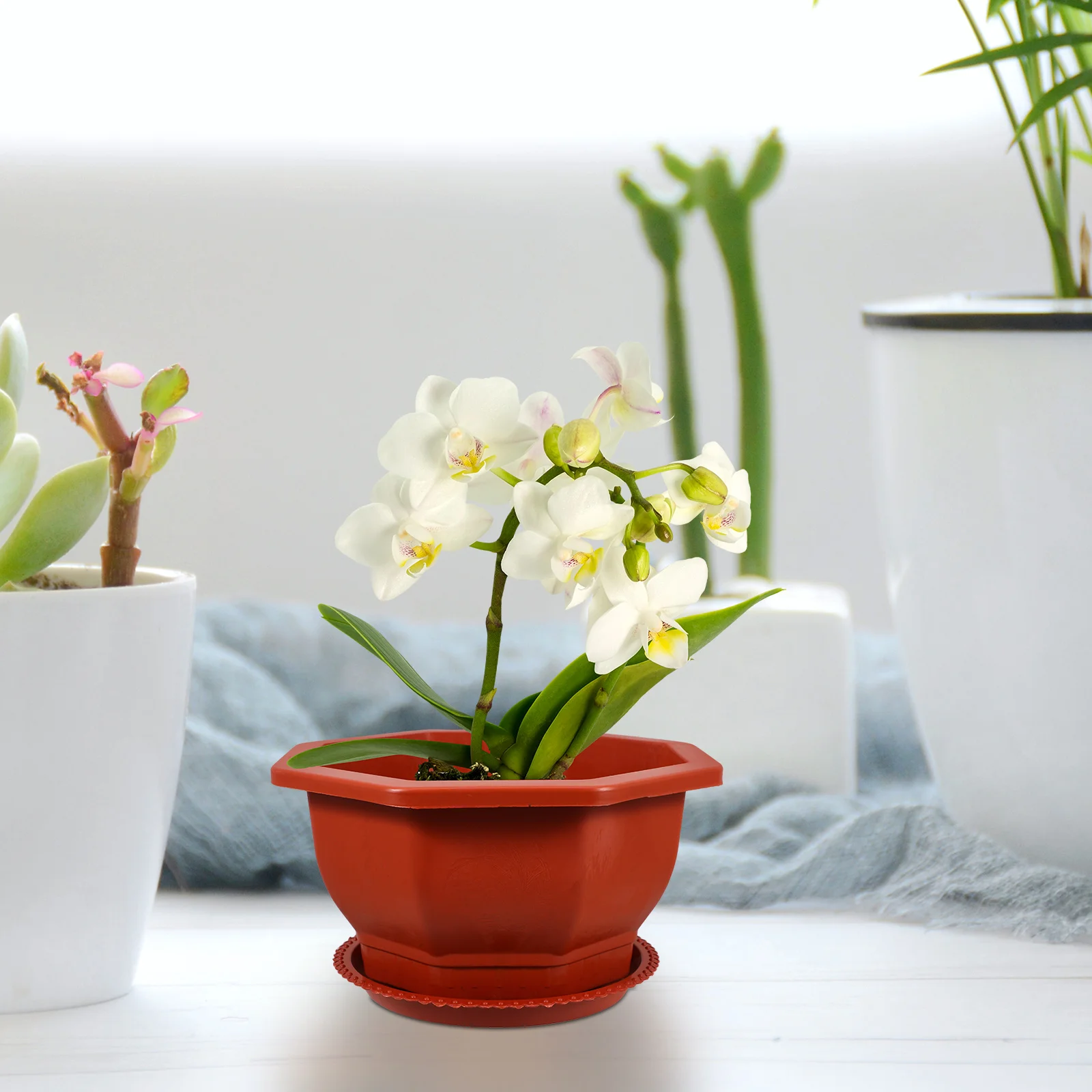 

5pcs Red Thickened Octagonal Flower for Bonsai Trees Matching Trays Decorative Plant Pots Indoor Large Planters Small Pots