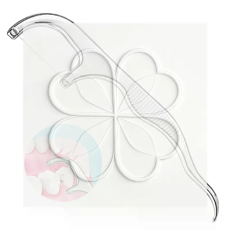 1Set Stainless Steel Toothpick With Box Dental Floss Reusable Flossing Holder