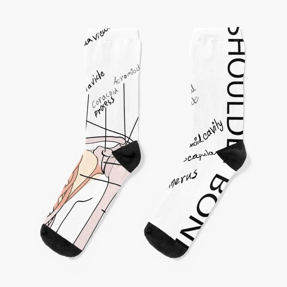 

shoulder bone medical poster vector illustration | SHOULDER BONES | medical poster of shoulder boneSocks