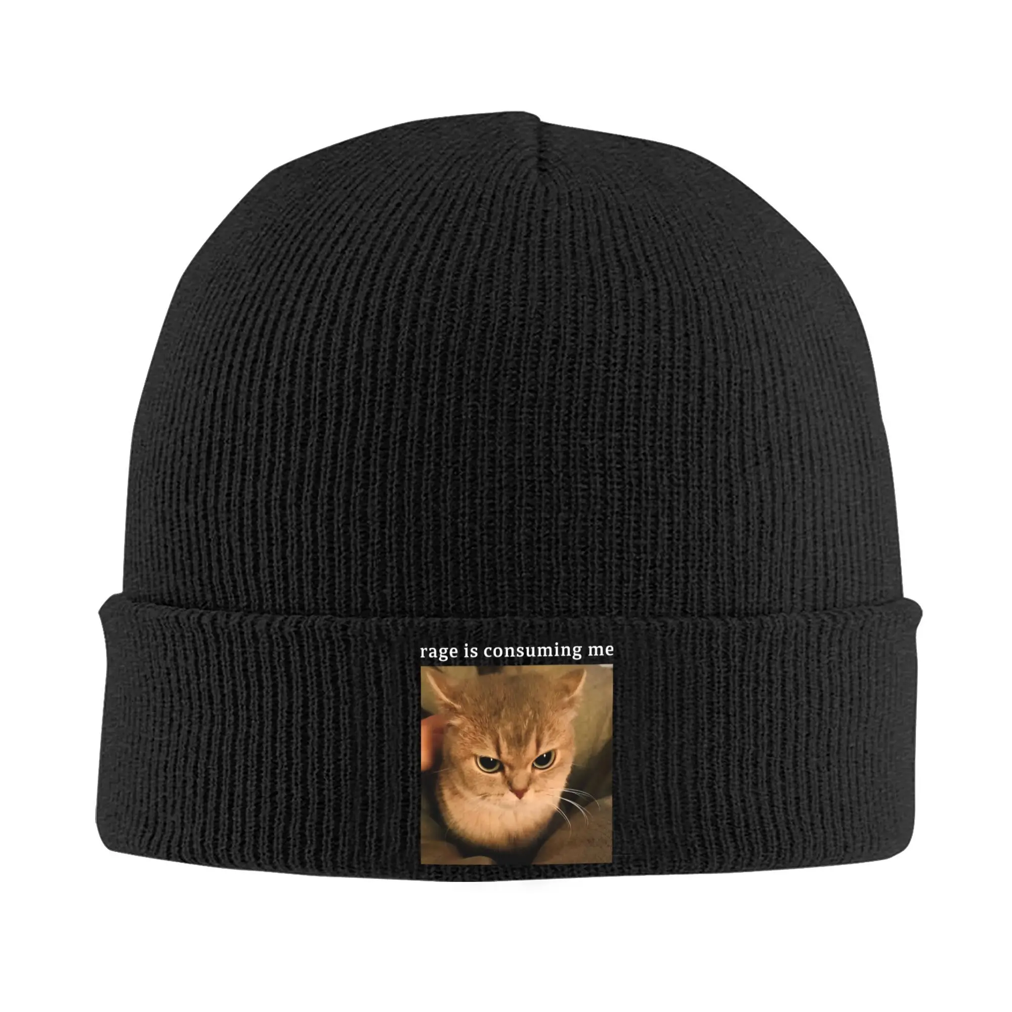 Rage Is Consuming Me Knitted Caps Women's Men's Skullies Beanies Autumn Winter Hats Acrylic Silly Staring Cat Meme Hip Hop Cap