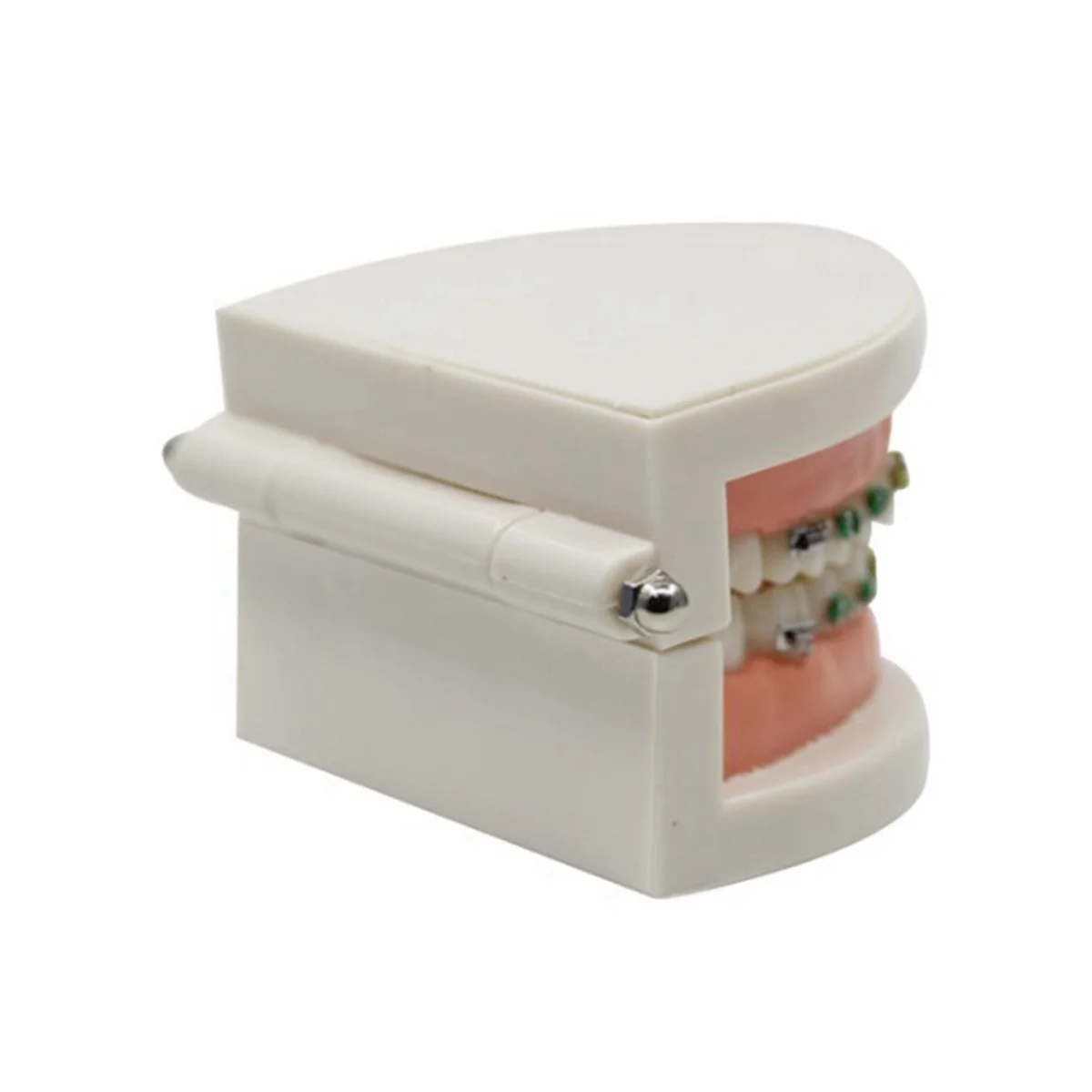 

A45I стоматологическая ортодонтическая модель зубов с кронштейном, арочная проволока, буккальная трубка, лигатурные стяжки, модель стоматолога, обучающие инструменты