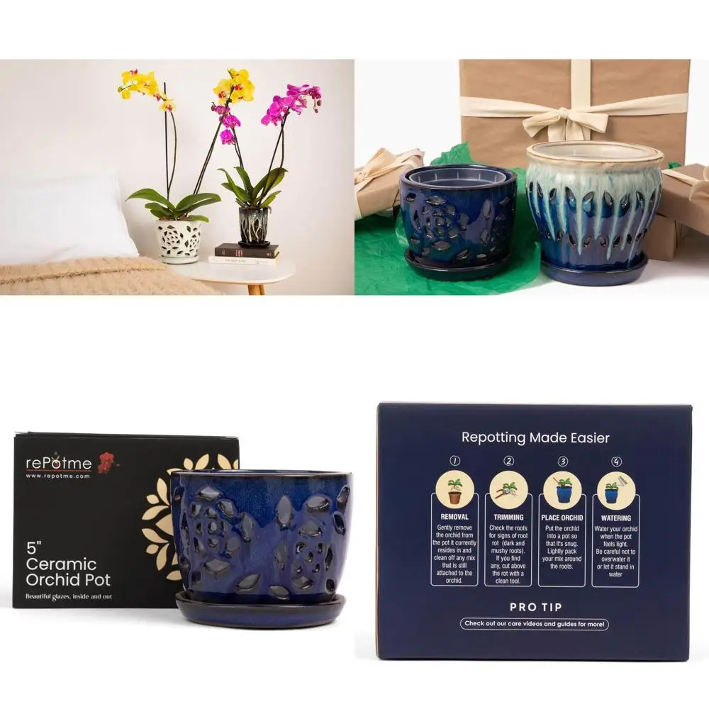 

5-дюймовый горшок для орхидей небесно-голубого цвета с вырезанным узором и дренажными отверстиями, в комплекте с соответствующим вкладышем с перфорацией