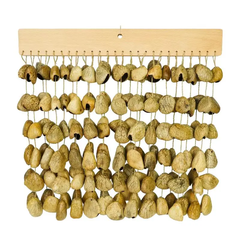 

Sound Healing Natural Seeds Shell Chimes Instruments