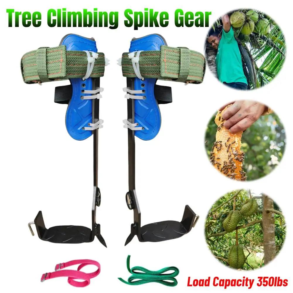 Engrenagem de escalada em árvore, altura ajustável, piercing, conjunto de ferramentas de escalada com cinto de segurança, carga de 350lbs para escalada e colheita