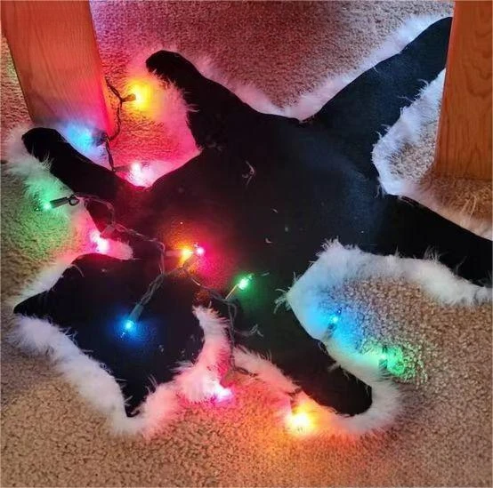 Fried Cat Rug Christmas Vacation Cat Area Rug LED Light Funny Christmas Lights Decoration Aunt Fried Pussycat Rug For Bedroom