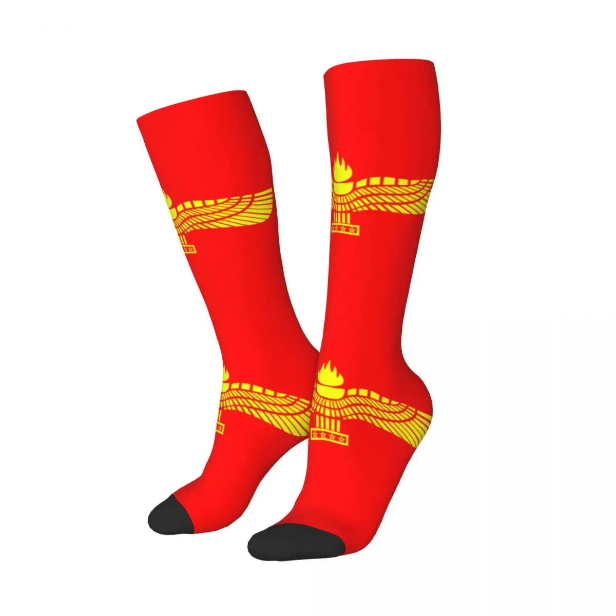 Aramean Suryoyo Logo Thigh Knee High Socks Women's Warm Funny Novelty Syriac Assyria Flag Stockings