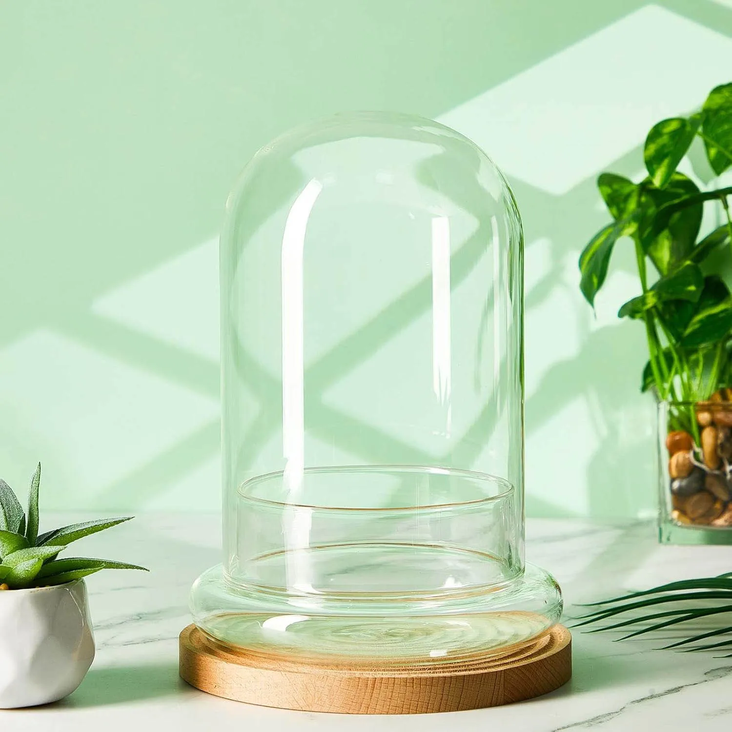 Glass Dome with Airhole Glass Cloche Bell Jar with Base Home Tabletop Display Clear Terrarium Container for Plant, Terrarium