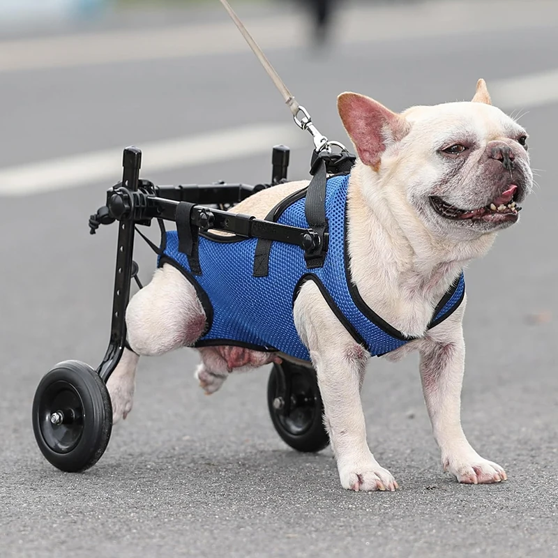 Adjustable Small Dog Wheelchair For Back Legs Disabled Pets Leg Brace Mobility Aid For Small Pets Hind Limb Rehabilitation Older