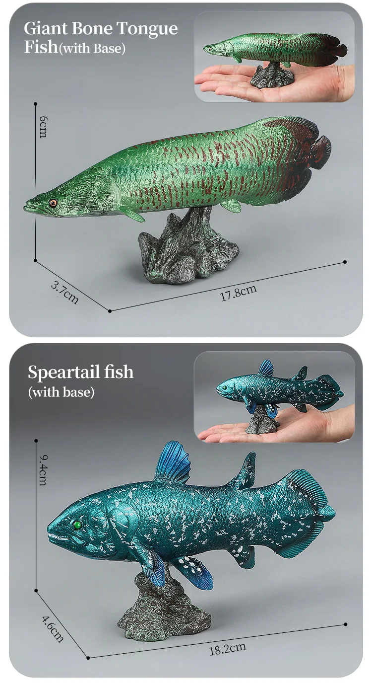 Meeresleben-Tiere-Modell, Actionfiguren-Set – Ozeanfisch, Thunfisch, Segelfisch, Bass, Zacker, Lachs, PVC, Lernspielzeug für Kinder – Detail 4