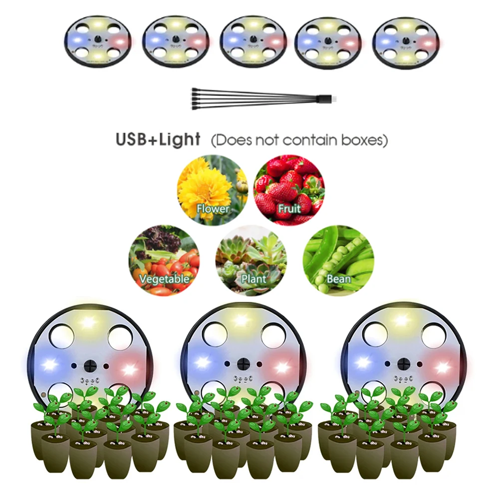 Red Blue White Greenhouse Germination Led Plant Lamps Beads Grow Lights Full Spectrum Purple Lighting for Seed Starter Tray Kit