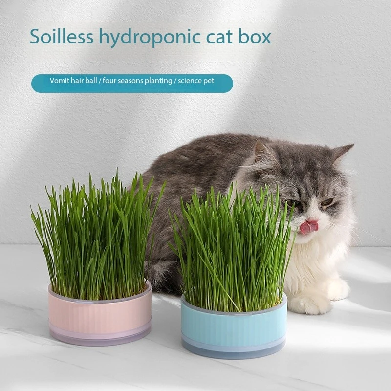 Pet cat grass growing box soilless hydroponic Lazy Cat grass box Cat hair to help digest cat treats