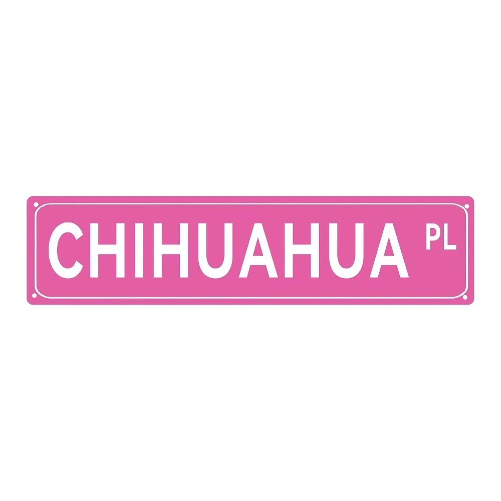 [2D Flat] Custom Vintage Princess Cheerleader Street Aluminum Sign, Cute Dancer Home Wall Art Decor (Only Decoration)