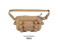 Coyote Brown