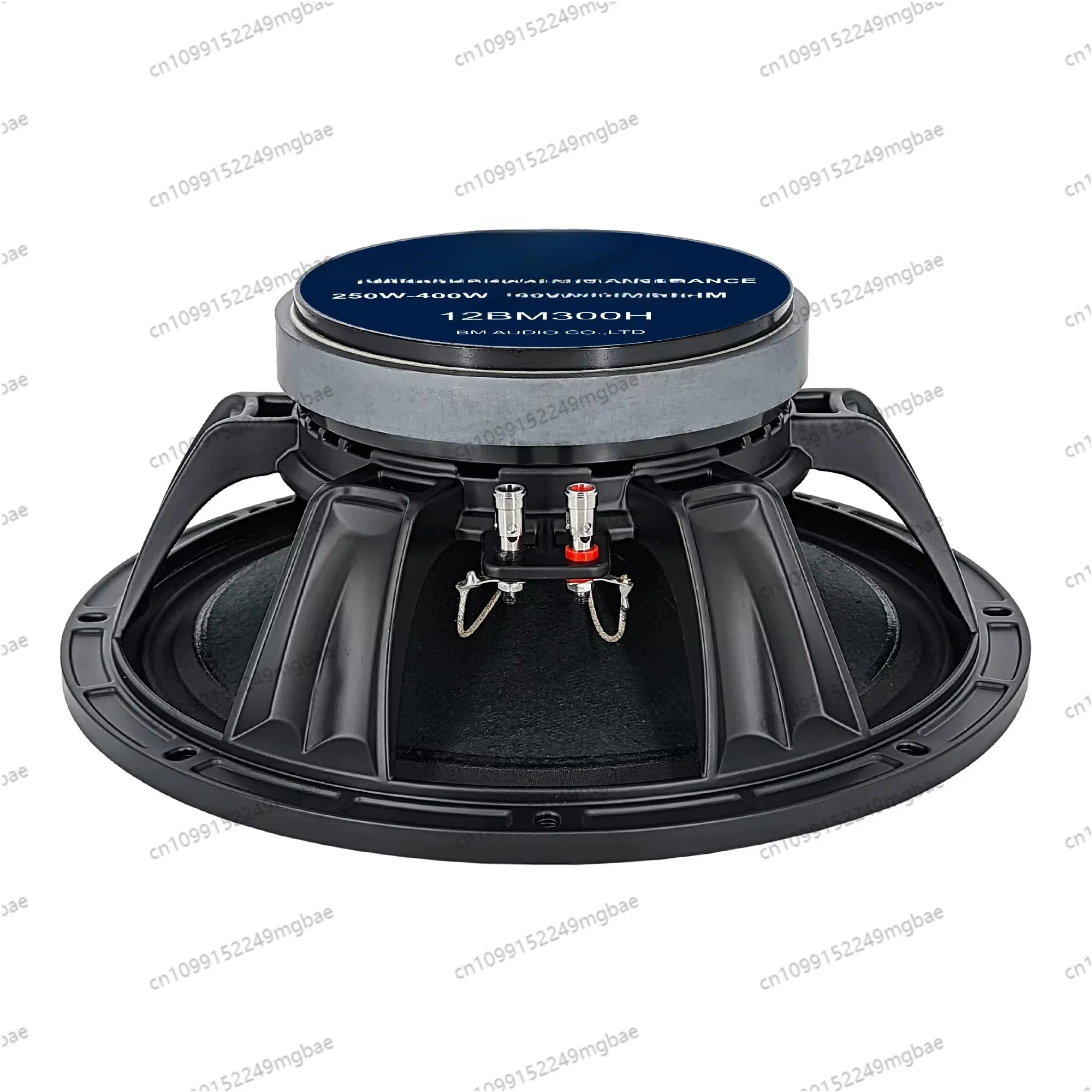

12-Inch stage speaker with 170mm magnet and 3-inch voice coil for live sound applications