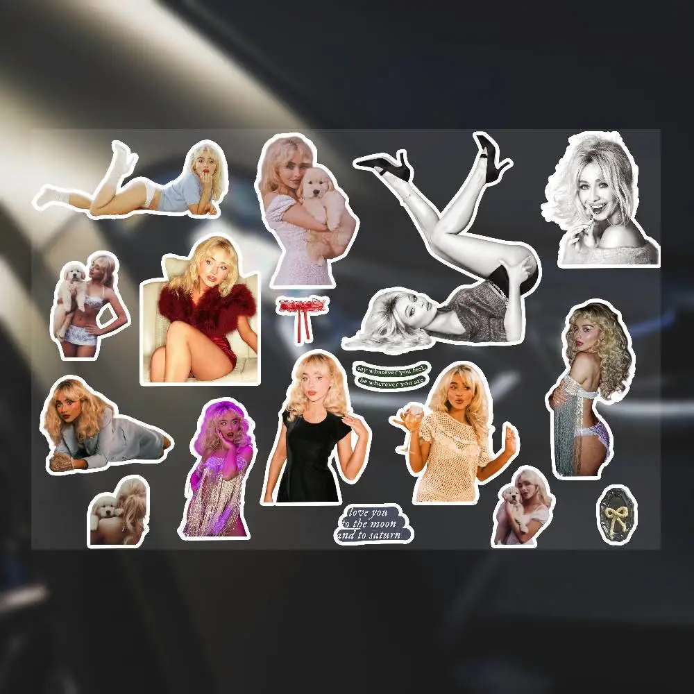 ملصقات نجار المغني الموسيقي سابرينا لجرافيتي سكيت الكمبيوتر المحمول زجاجة ماء لعبة دراجة نارية للأطفال ملحقات الديكور #4