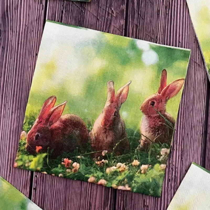 

20pcs 33cm 2-Ply Meadow Bunny Printed Paper Napkins Easter Party Decorative Paper Placemats Cocktail Napkins