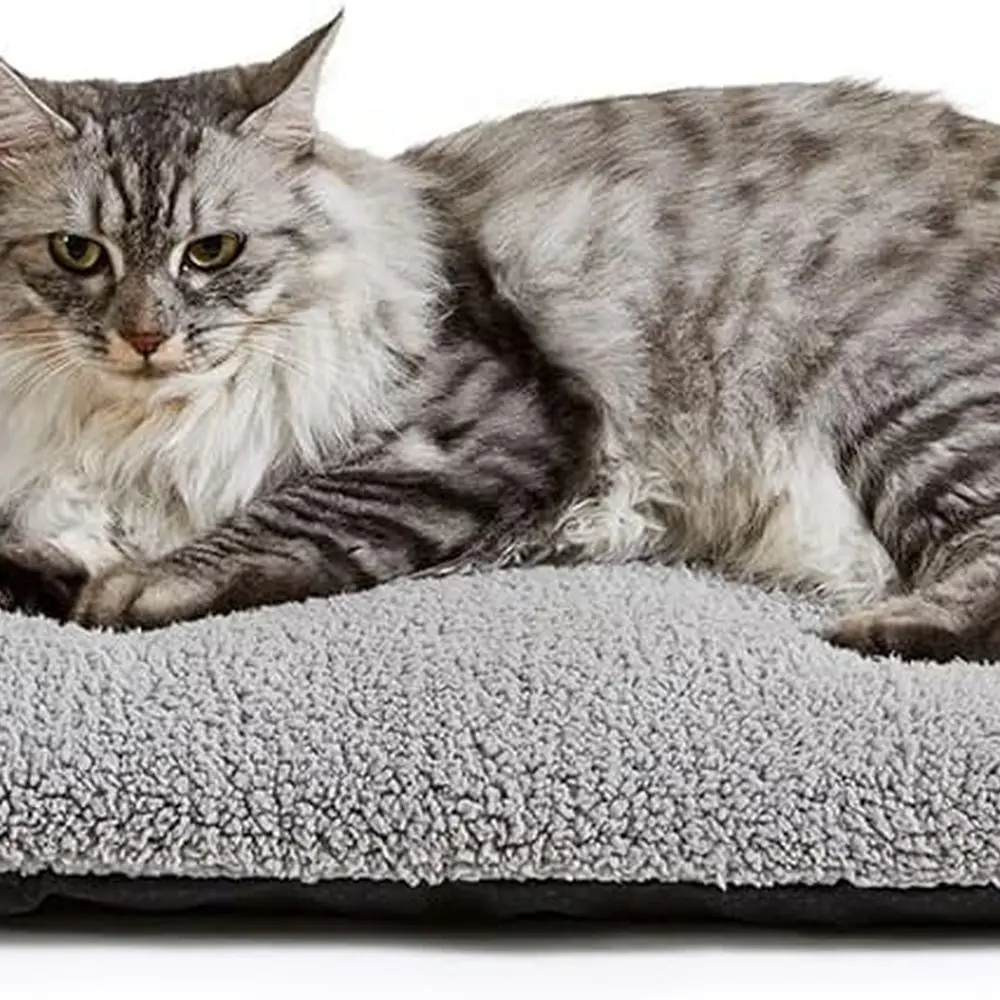

Самосогревающаяся кровать для кошек Самонагревающаяся подушка 24 x 18 дюймов Термальный коврик для домашних животных на открытом воздухе Двойной коврик для кошек с моющимся R