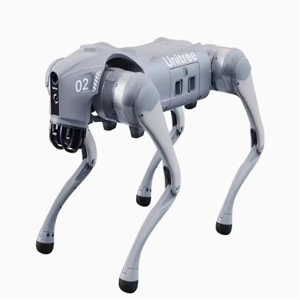 Quadruped Bionic Robot Dog With AI Functions Design For Raspberry Robot Dog