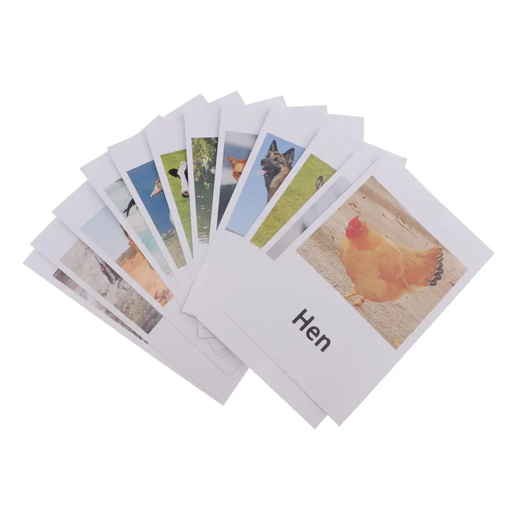 Montessori Animais Match Cards, Animais Figurines, Cartões, Multicolor, 12 pcs