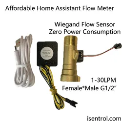 Affordable Brass/Alloy Shell Home Assistant Wifi Flow Kit Multiple Sizes Flow Measurement Water Flow Sensor Turbine Flowmeter