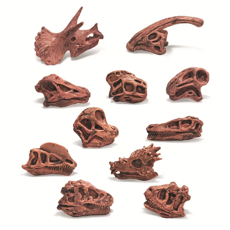 11 sztuk imitacja dinozaura Model czaszki tyranozaur Rex Velociraptor Triceratops szkielet czaszka Fossil zabawka miniaturka figurka na prezent