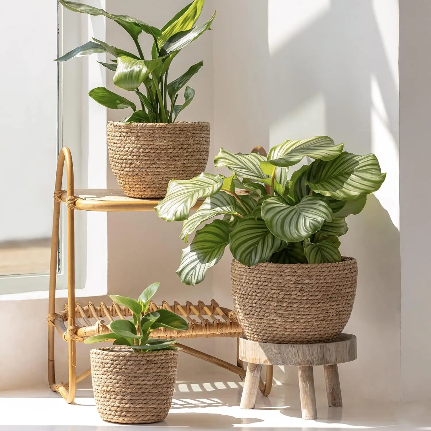 Seagrass Basket Planters for Indoor Plants, Flower Pot 3 Pack