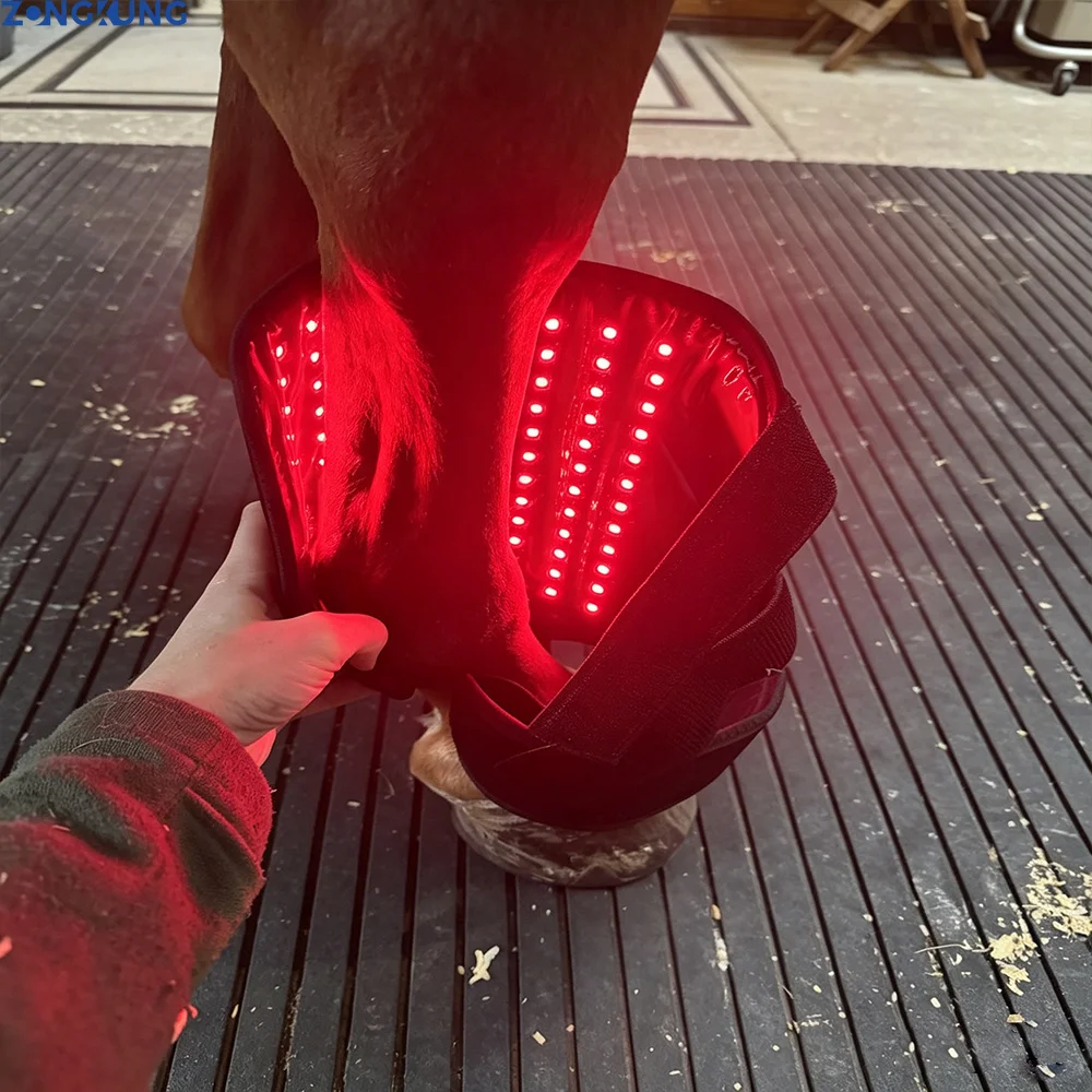 Veterinary Use LED Red Light Infrared Pet Therapy Horse Leg Pad Device 660nm 850nm