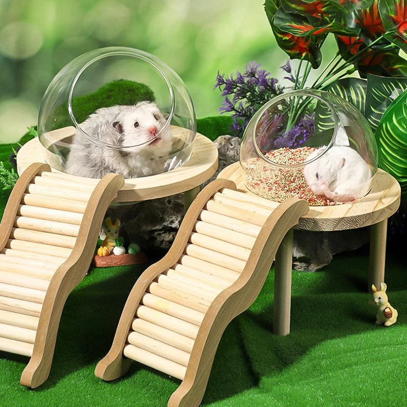 Hamster Bath House with Wooden Ladder Bridge Easy to Clean Climbing Toy Hamster Bathroom Glass Shower Container for Safe Bathing