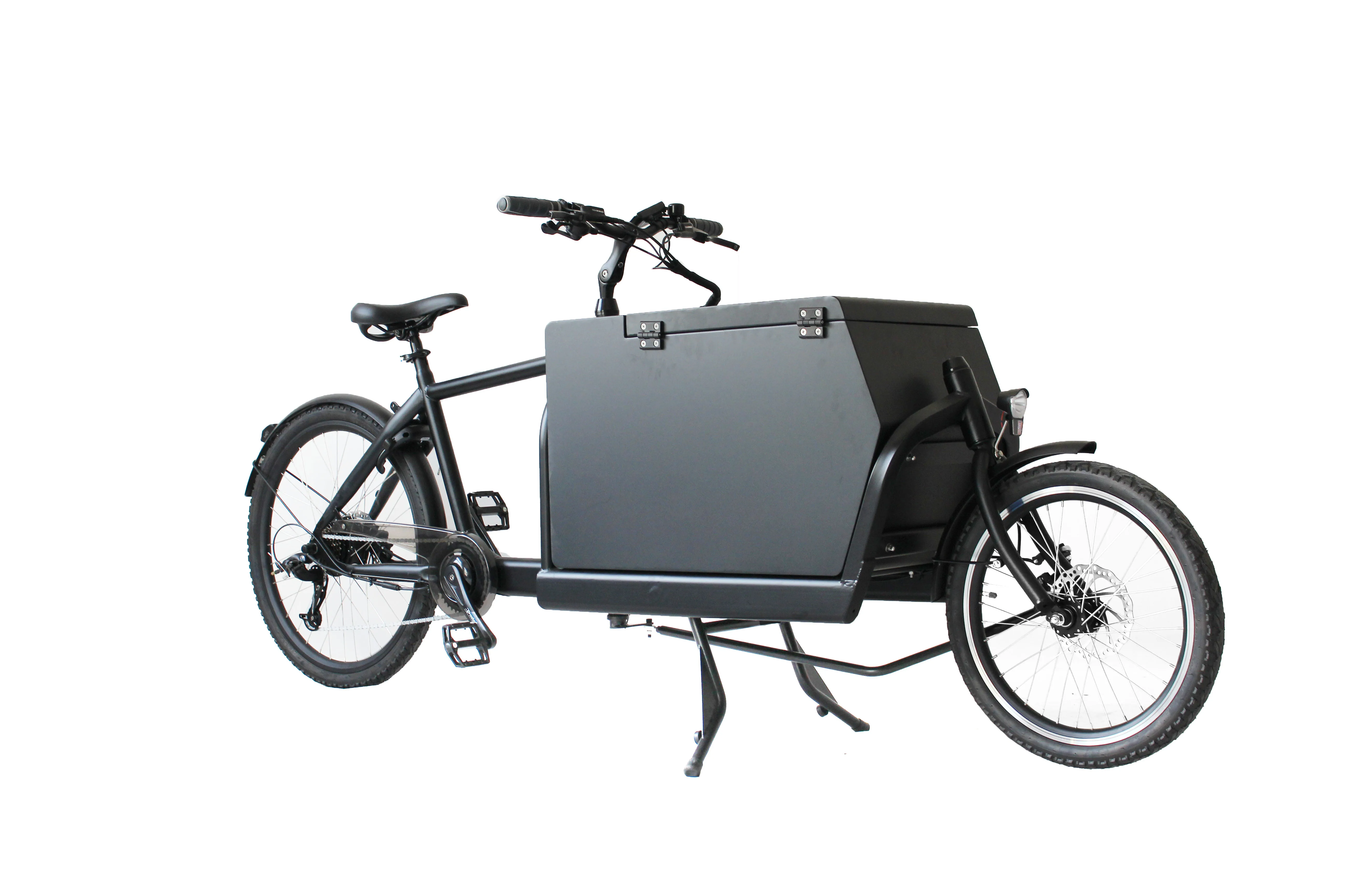 Vélo cargo familial, nouveau design, moteur à 2 roues