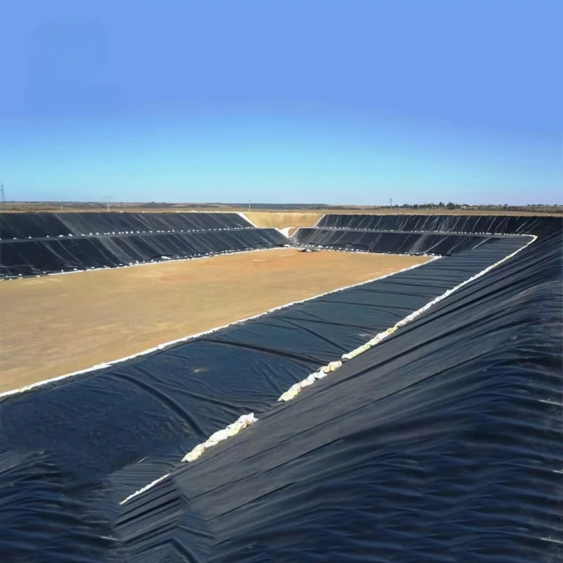 Custom HDPE Waterproof Geomembrane Sheet for Fish Farm Pond Mining Landfill and Water Storage Project