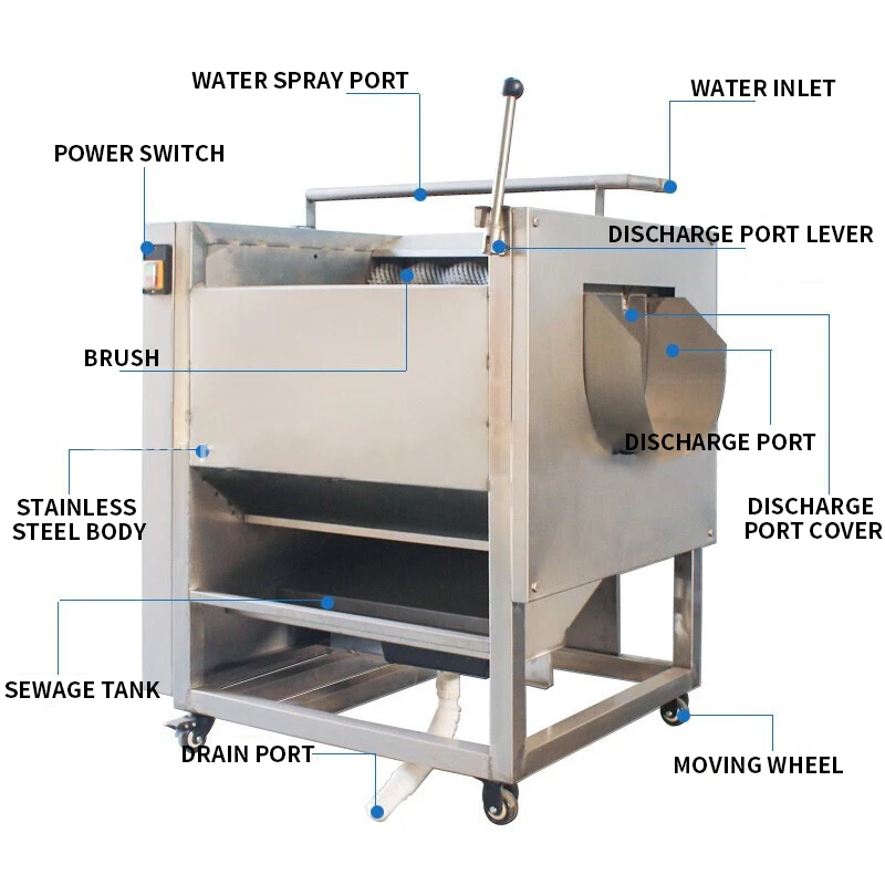 

Automatic Potato peeling machine commercial cleaning ginger sweet potato taro lotus root stainless steel brush peeling machine