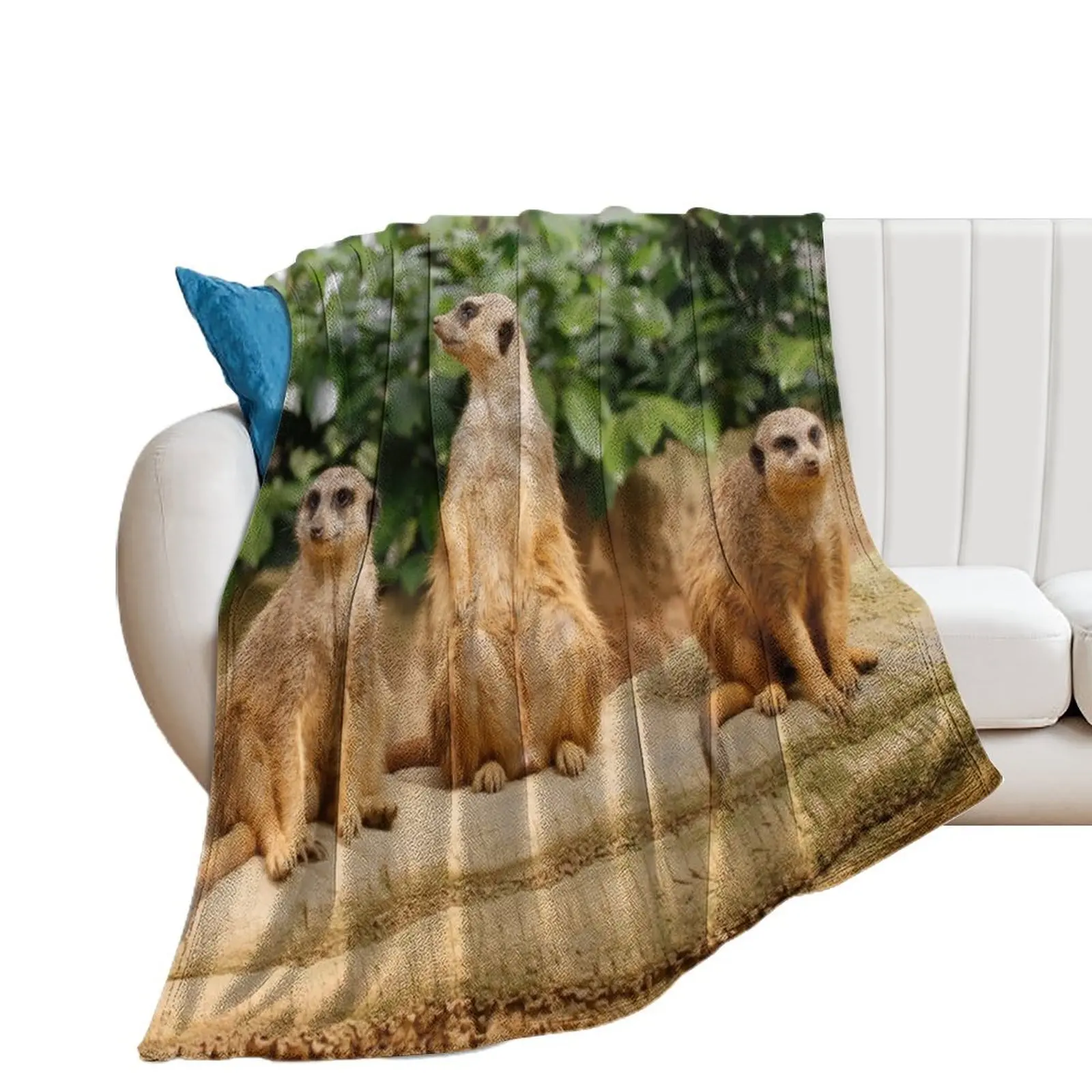 Meerkat 008 Throw Blanket Polar Sofa Throw Designers Heavy Blankets