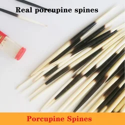 Fish floating standard natural toothpick porcupine bristle pen holder DIY material hairpin  desk decor