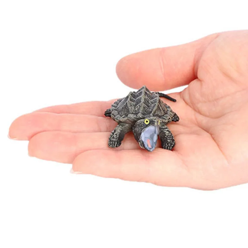 جديد محاكاة الزواحف الحيوان السلاحف الصغيرة شبل نموذج عمل تمثال أرقام جمع الدمى ألعاب تعليمية للأطفال هدية #6