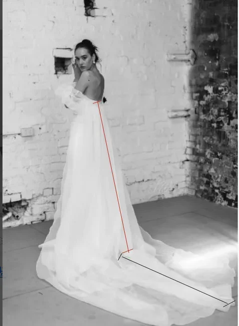 Detachable Organza Sleeves Cloak,  Bride Wrap, Bride Polero, Gothic Wedding Trailing Sleeves, Bride Shawl custom