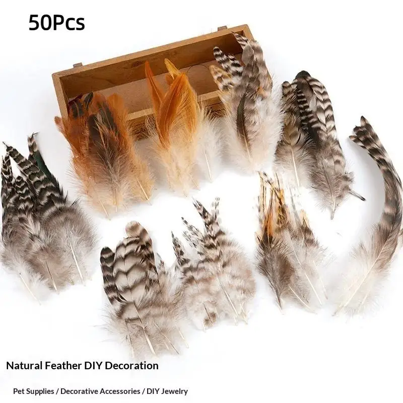 50Pcs/Lot Colored Rooster Feathers For Crafts Black Chicken Decoration Needlework Pheasant Feather Dream Catcher Plumes Decor