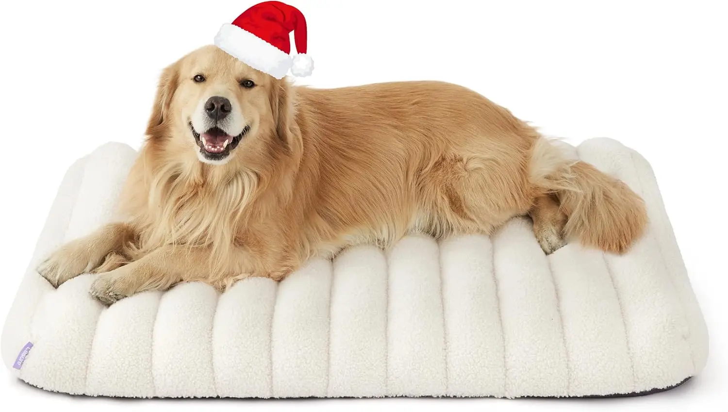 

Ортопедическая лежанка для собак очень большого размера, с водонепроницаемым моющимся чехлом, толстым пенополиуретановым матрасом для использования в помещении (44x32 дюйма, кремовый цвет)