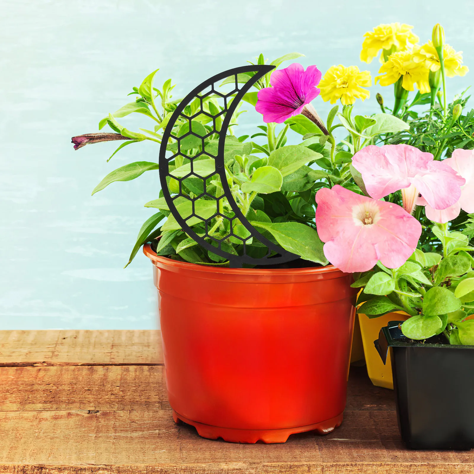 

2pcs Plant Climbing Support Trellis Pp Material Sturdy Potted Plant Holder For Indoor Garden Vine Growth Decorative Frame Garden