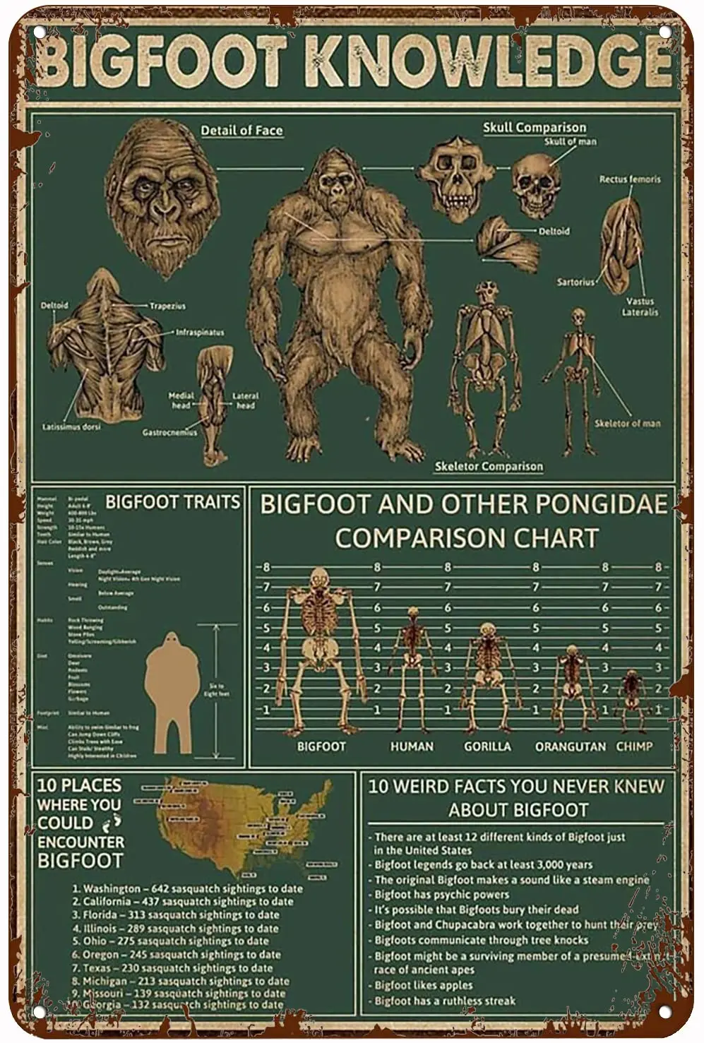 Xiddxu Plaque en métal vintage, enseigne en métal, connaissance du Bigfoot, cadeau pour les amateurs de Bigfoot, enseigne Sasquatch, art du Bigfoot, enseigne en métal.