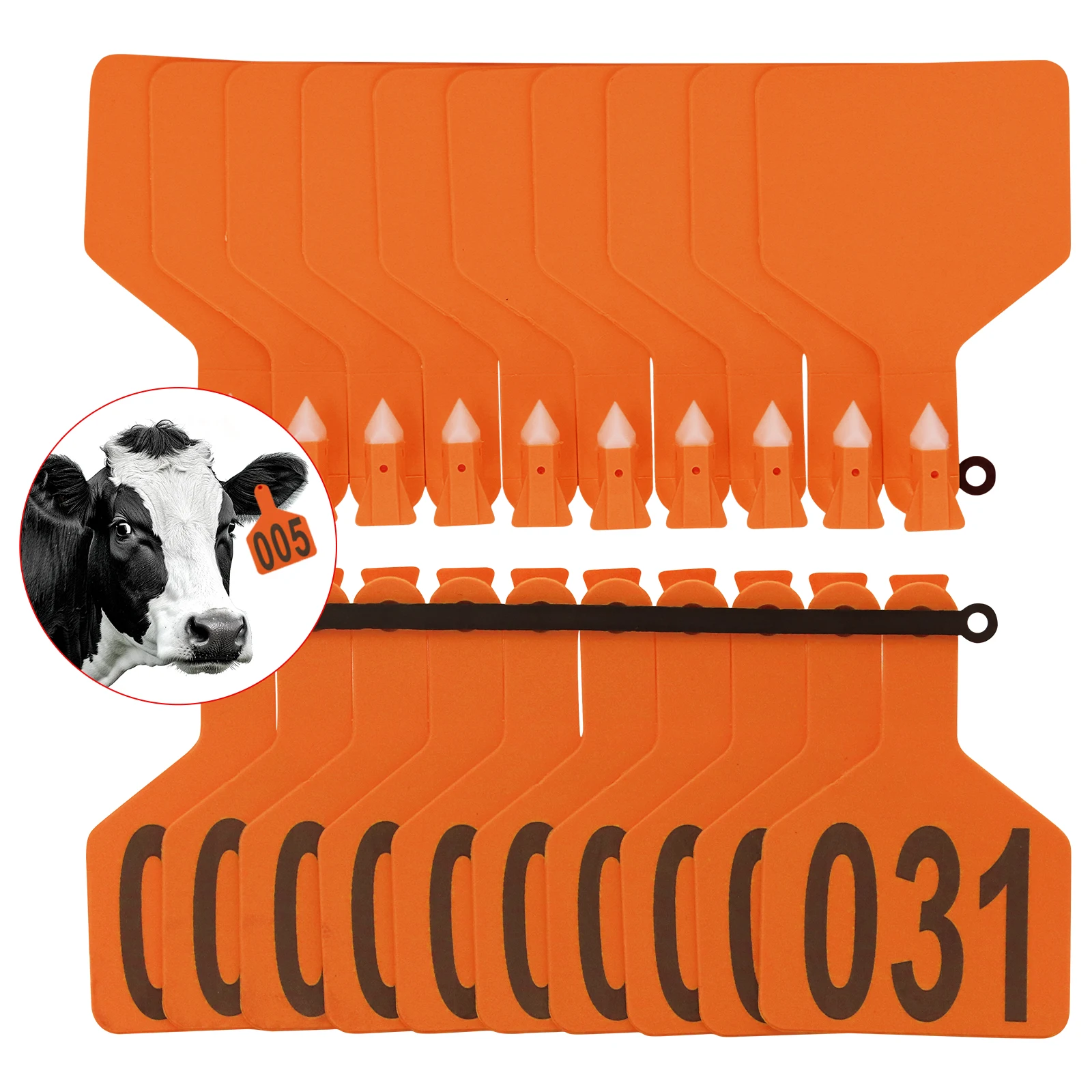001-50 الماشية البقرة علامات الأذن الكبيرة علامات مع الكلمات أدوات تحديد الحيوانات بولي TPU علامة البقرة خنزير الماعز الأغنام مزرعة علامة (50 قطعة)