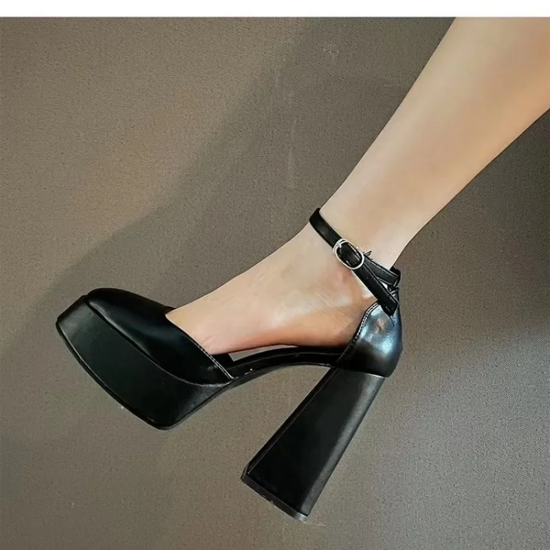 

Mary Jane Shoes Women 2024 New Spring Autumn Thick Heels High Heels Waterproof Platform Hollow Luxury Brand Women's Shoes Pumps