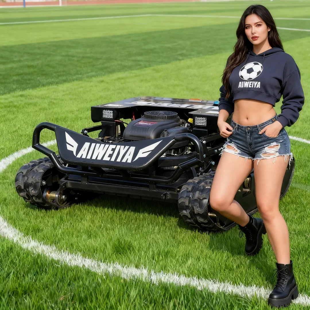 

Customized One-Click Start Flail Lawn Mower High Power Multifunctional Remote Control EU Certified Football Cup Beauty