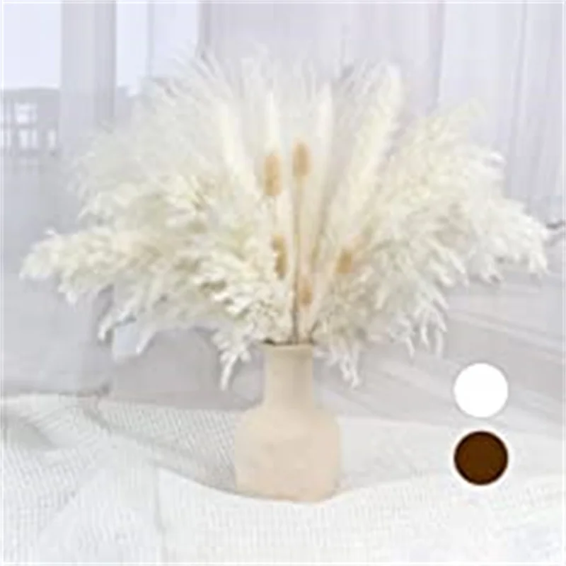 Dry Flower White Pampa Decorations Natural Pampa Gras Decorative Boho Home Decor Farmhouse Rustic Plants for Wedding Decorations