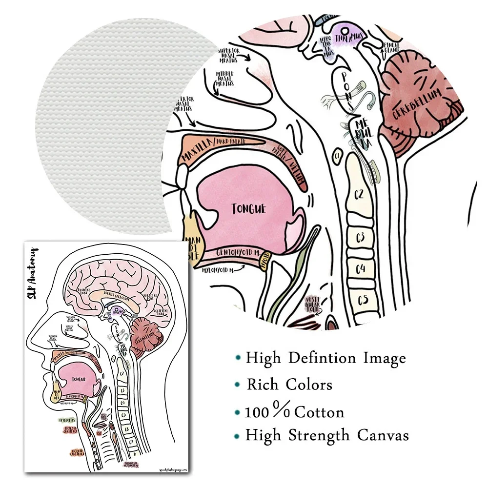 Human And Head Brain Vocal Anatomy Poster Vintage Print Neuroscience Physiology Wall Art Pictures Doctors Office Home Decoration