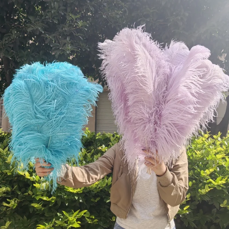 

10Pcs Natural Ostrich Feather for Craft 15-45CM DIY Jewelry Creation Wedding Party Decoration Ostrich Plume Bulk