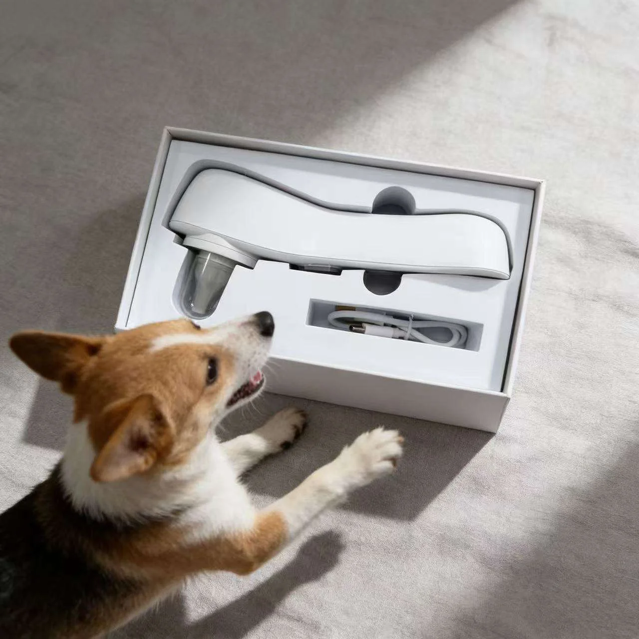 Handheld Premium New USB Recharge Pet Ear Ozone Therapy Device Quiet Low Noise Ear Care Cleaning Disinfecting Deodorizing Tool