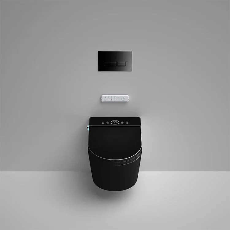 xx-Matt Black Smart Toilet Flushing P-Trap Bidet In Black Color One Piece Toilet